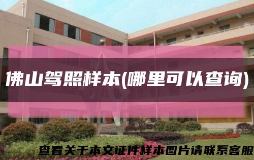 佛山駕照樣本(哪里可以查詢)縮略圖
