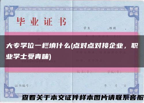 大專學位一欄填什么(點對點對接企業，職業學士受青睞)縮略圖