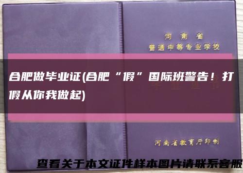 合肥做畢業證(合肥“假”國際班警告！打假從你我做起)縮略圖
