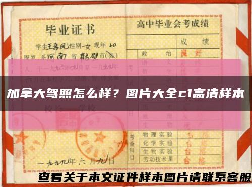 加拿大駕照怎么樣？圖片大全c1高清樣本縮略圖