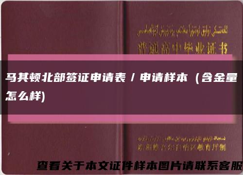 馬其頓北部簽證申請表／申請樣本（含金量怎么樣)縮略圖