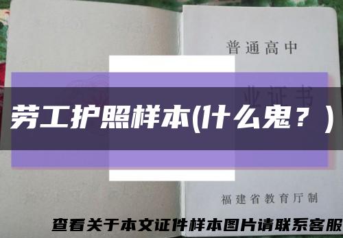 勞工護照樣本(什么鬼？)縮略圖
