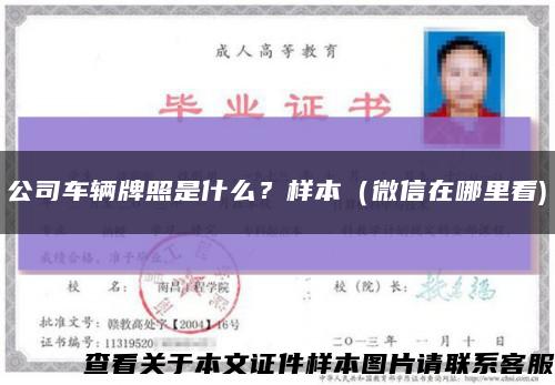 公司車輛牌照是什么？樣本（微信在哪里看)縮略圖
