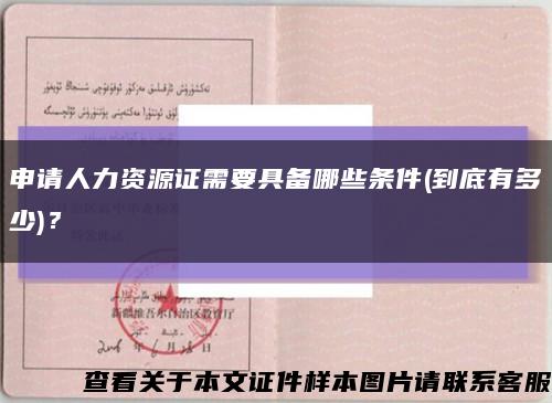 申請人力資源證需要具備哪些條件(到底有多少)？縮略圖