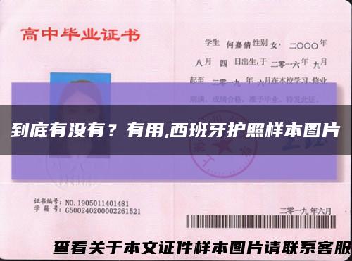 到底有沒有？有用,西班牙護照樣本圖片縮略圖