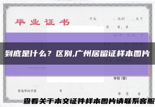 到底是什么？區別,廣州居留證樣本圖片縮略圖