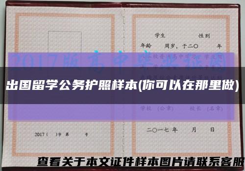 出國留學公務護照樣本(你可以在那里做)縮略圖