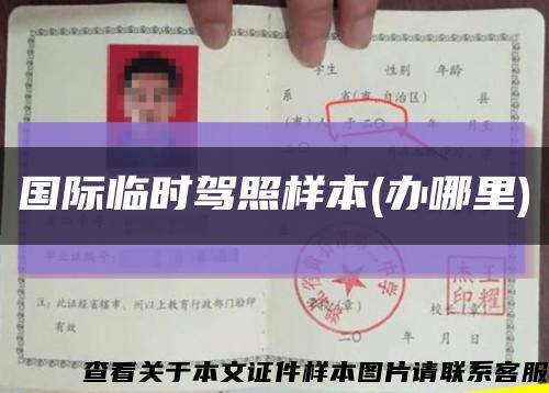 國際臨時駕照樣本(辦哪里)縮略圖