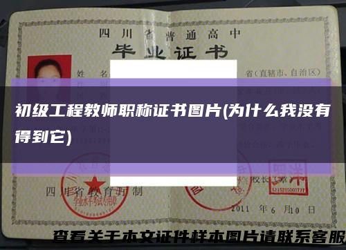 初級工程教師職稱證書圖片(為什么我沒有得到它)縮略圖