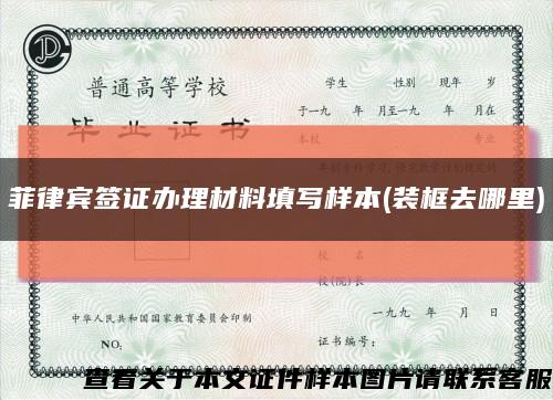 菲律賓簽證辦理材料填寫樣本(裝框去哪里)縮略圖