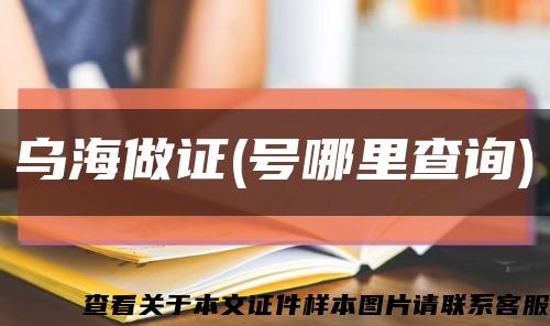 烏海做證(號哪里查詢)縮略圖