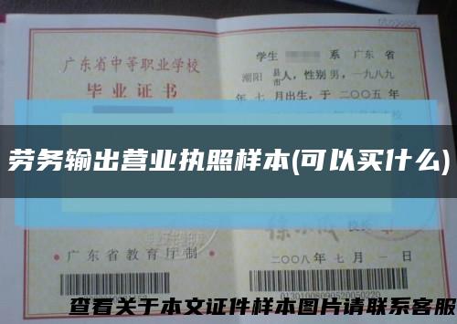 勞務輸出營業執照樣本(可以買什么)縮略圖
