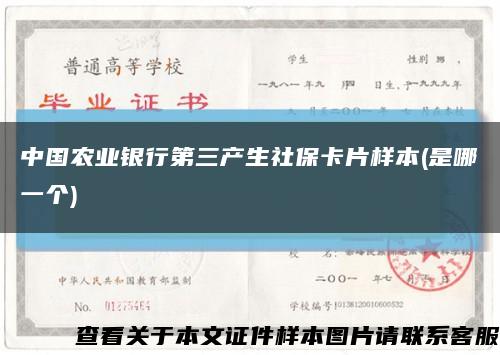 中國農業銀行第三產生社?？ㄆ瑯颖?是哪一個)縮略圖