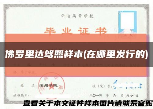 佛羅里達駕照樣本(在哪里發行的)縮略圖