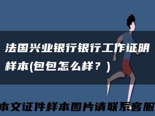 法國興業銀行銀行工作證明樣本(包包怎么樣？)縮略圖