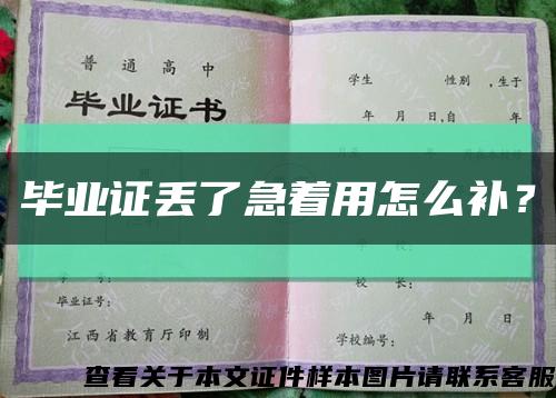 畢業證丟了急著用怎么補？縮略圖