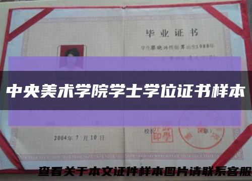 中央美術學院學士學位證書樣本縮略圖
