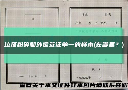 垃圾粉碎和外運簽證單一的樣本(在哪里？)縮略圖