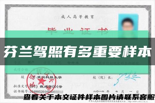 芬蘭駕照有多重要樣本縮略圖