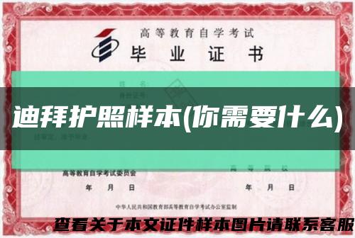 迪拜護照樣本(你需要什么)縮略圖