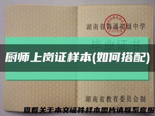 廚師上崗證樣本(如何搭配)縮略圖