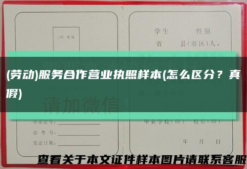 (勞動)服務合作營業執照樣本(怎么區分？真假)縮略圖