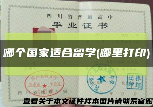 哪個國家適合留學(哪里打印)縮略圖