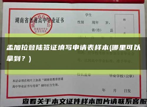 孟加拉登陸簽證填寫申請表樣本(哪里可以拿到？)縮略圖
