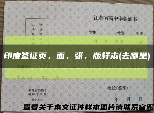 印度簽證頁，面，張，版樣本(去哪里)縮略圖