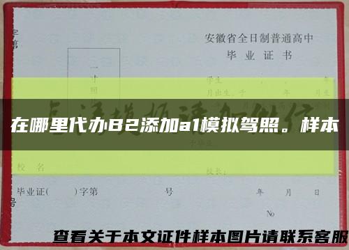 在哪里代辦B2添加a1模擬駕照。樣本縮略圖