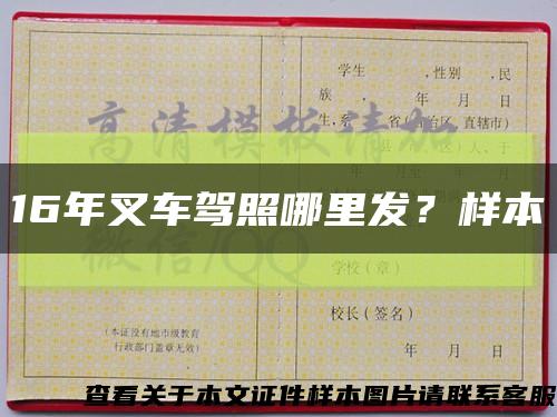 16年叉車駕照哪里發？樣本縮略圖