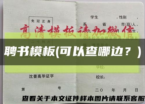 聘書模板(可以查哪邊？)縮略圖