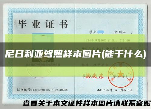 尼日利亞駕照樣本圖片(能干什么)縮略圖