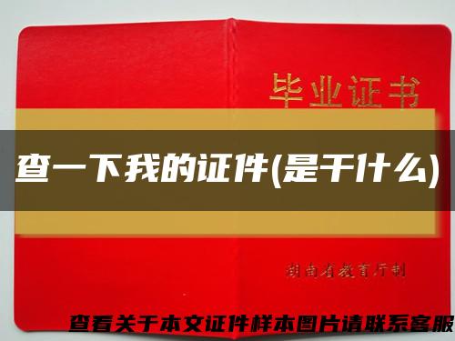 查一下我的證件(是干什么)縮略圖