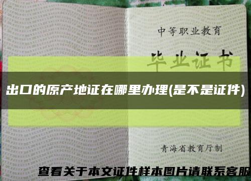 出口的原產地證在哪里辦理(是不是證件)縮略圖