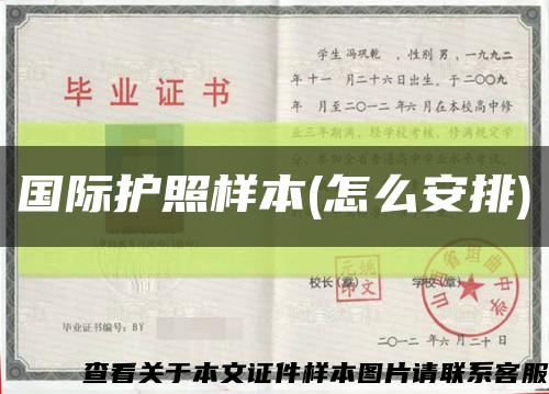 國際護照樣本(怎么安排)縮略圖