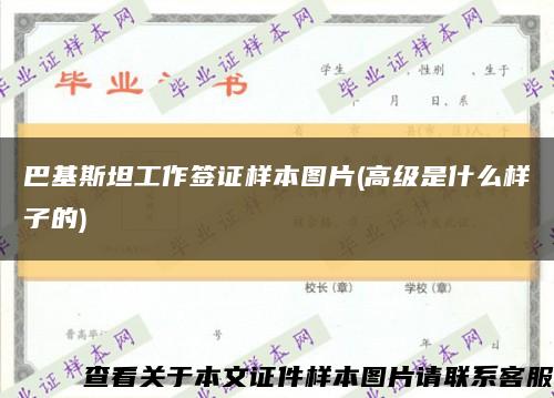 巴基斯坦工作簽證樣本圖片(高級是什么樣子的)縮略圖