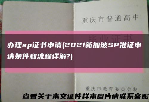 辦理sp證書申請(2021新加坡SP準證申請條件和流程詳解?)縮略圖