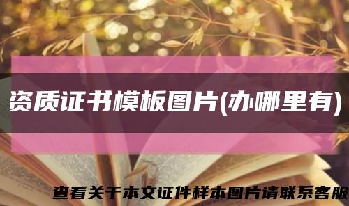 資質證書模板圖片(辦哪里有)縮略圖