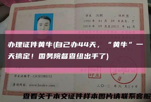 辦理證件黃牛(自己辦44天，“黃?！币惶旄愣?！國務院督查組出手了)縮略圖