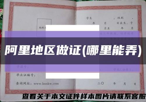 阿里地區做證(哪里能弄)縮略圖