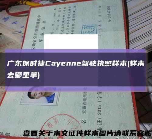 廣東保時捷Cayenne駕駛執照樣本(樣本去哪里拿)縮略圖