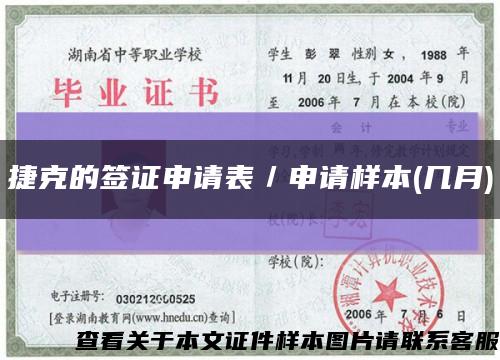 捷克的簽證申請表／申請樣本(幾月)縮略圖