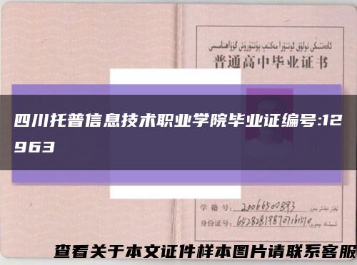四川托普信息技術職業學院畢業證編號:12963縮略圖