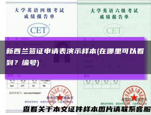 新西蘭簽證申請表演示樣本(在哪里可以看到？編號)縮略圖