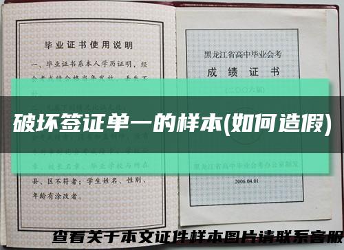 破壞簽證單一的樣本(如何造假)縮略圖