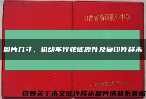 圖片幾寸，機動車行駛證原件及復印件樣本縮略圖