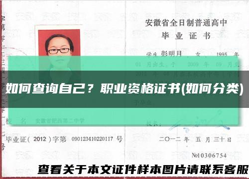 如何查詢自己？職業資格證書(如何分類)縮略圖