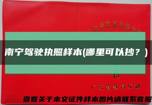 南寧駕駛執照樣本(哪里可以抄？)縮略圖