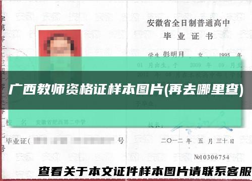 廣西教師資格證樣本圖片(再去哪里查)縮略圖